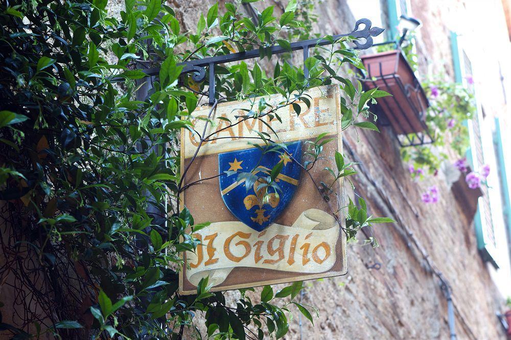 Il Giglio B&B Pienza Exterior photo